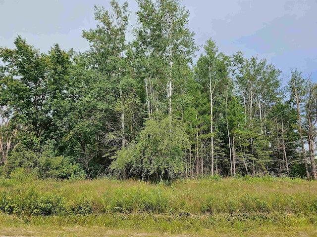 Shangrila Ln, Wautoma WI, 54982 land for sale