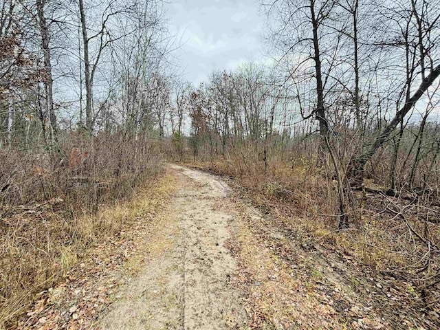 803 County A Rd, Grand Marsh, WI 53965