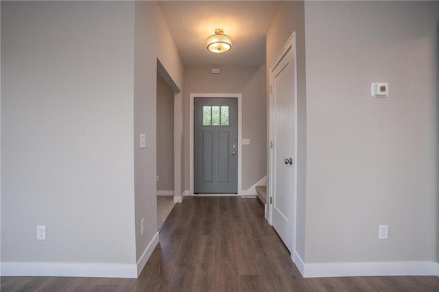 doorway to outside featuring dark wood-type flooring