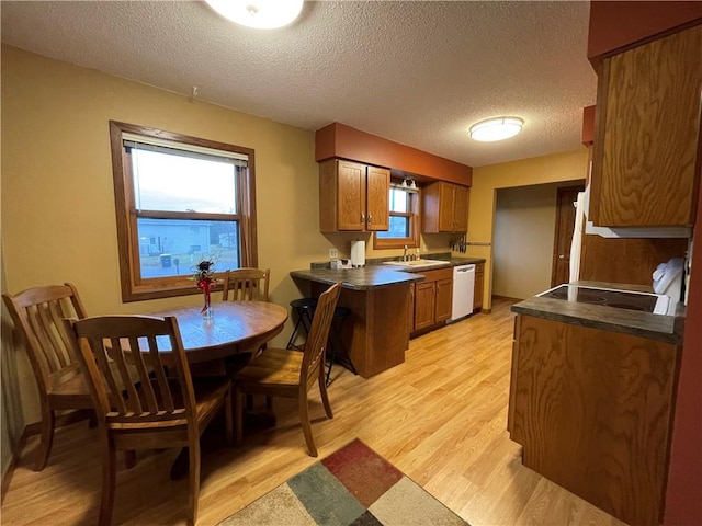 kitchen featuring sink, white dishwasher, a textured ceiling, and light wood-type flooring