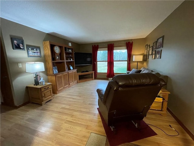 living room featuring light hardwood / wood-style floors