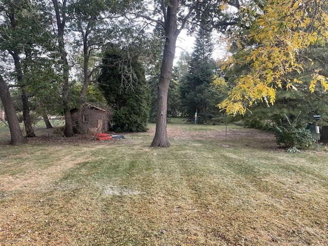 view of yard with a shed