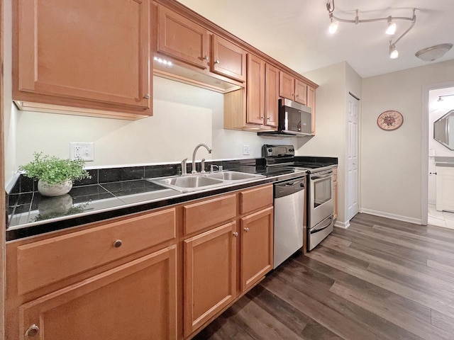 kitchen with stainless steel appliances, sink, and dark hardwood / wood-style flooring