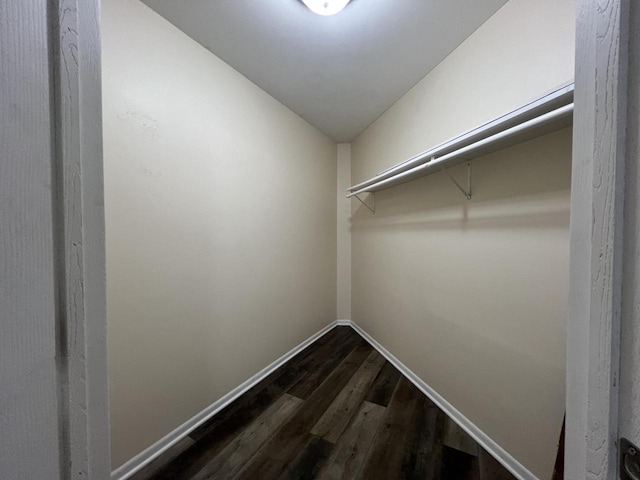 spacious closet with dark hardwood / wood-style flooring