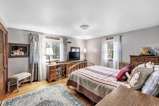 bedroom featuring multiple windows and wood-type flooring