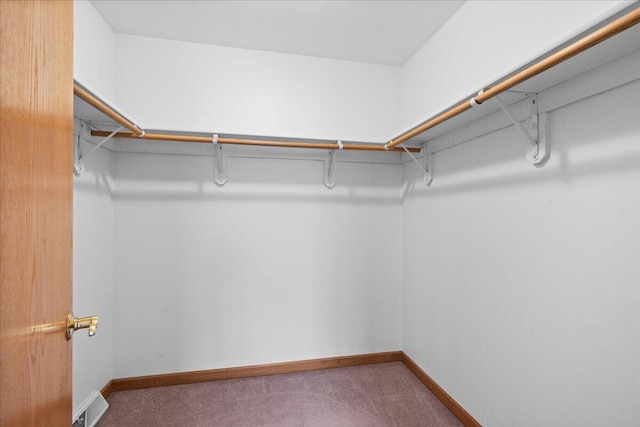 spacious closet with carpet flooring