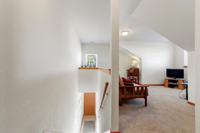 sitting room featuring carpet flooring