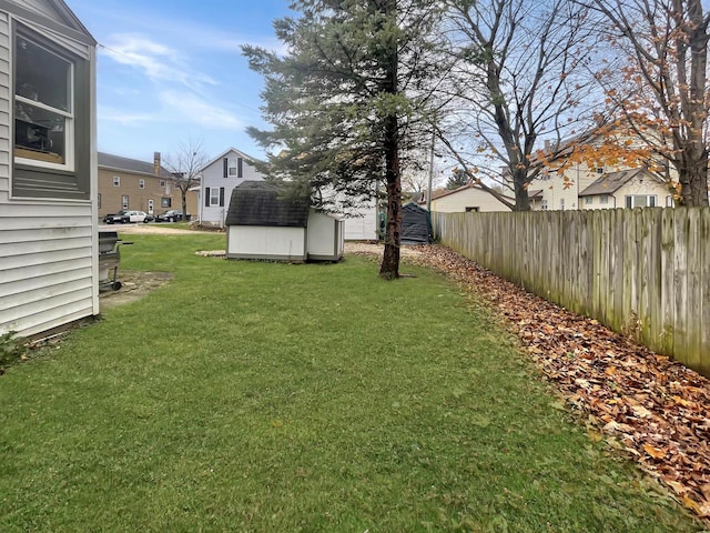 view of yard with a storage unit