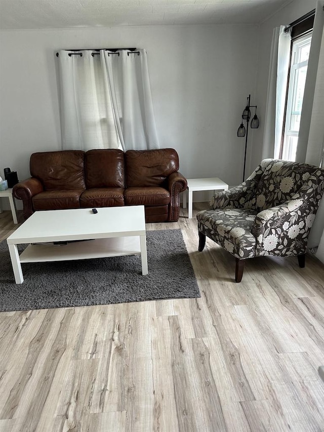 living room featuring wood finished floors