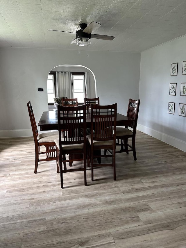 dining room featuring arched walkways, light wood finished floors, a ceiling fan, a textured ceiling, and baseboards