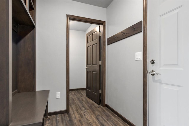 mudroom with dark wood-type flooring