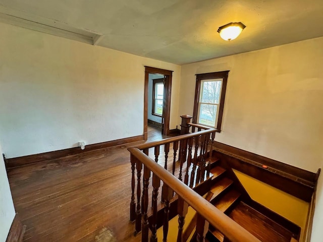 stairway with wood-type flooring