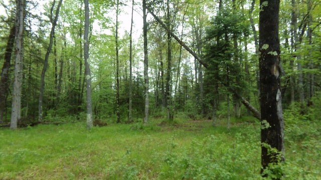 Listing photo 3 for 1022 Peshtigo River Rd, Laona WI 54541