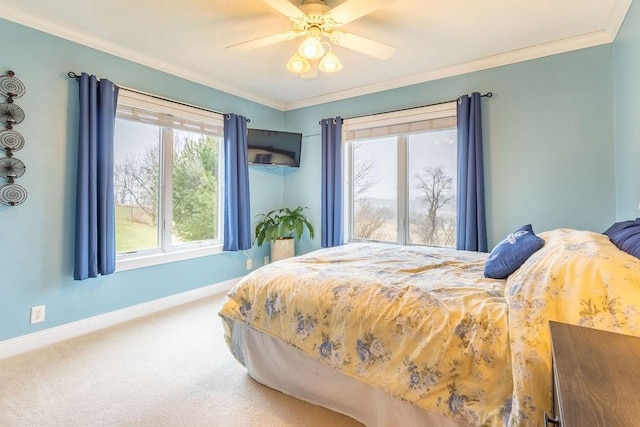 carpeted bedroom with ceiling fan, crown molding, and multiple windows