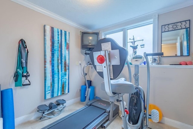 workout area featuring carpet and crown molding