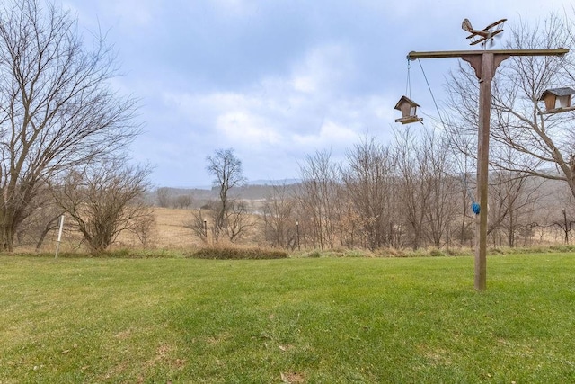 view of yard featuring a rural view