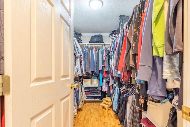 spacious closet with light wood-type flooring