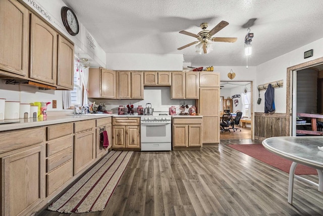 kitchen with a textured ceiling, white electric range oven, dark wood-type flooring, sink, and ceiling fan