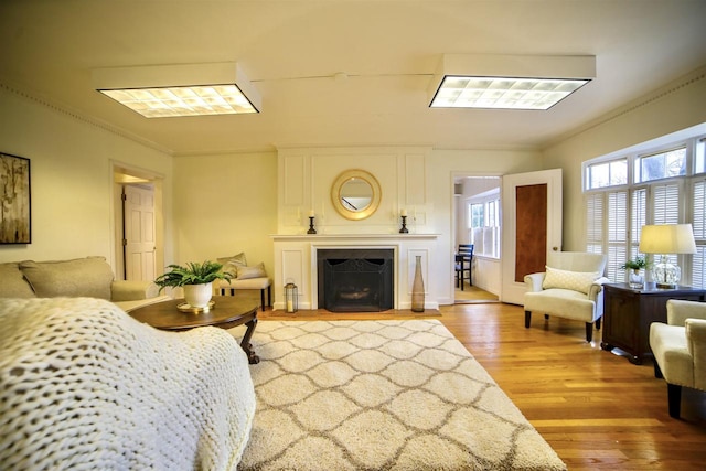 613 College St, Beloit, WI 53511 - living area featuring light wood-type flooring, ornamental molding, and a fireplace