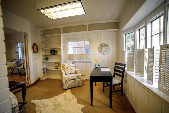 613 College St, Beloit, WI 53511 - office with carpet flooring and ornamental molding