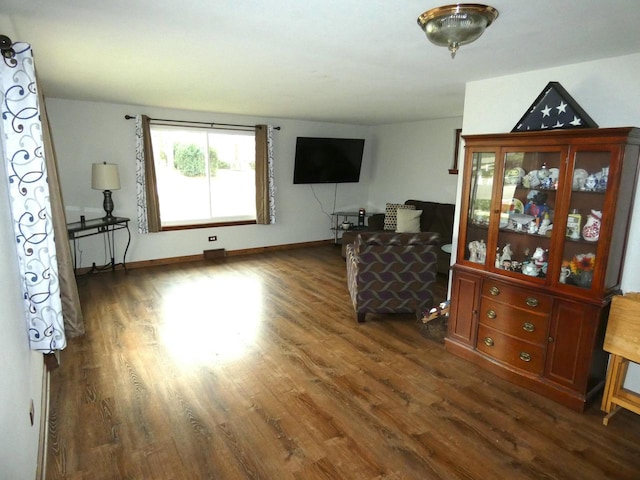 living room with dark hardwood / wood-style flooring