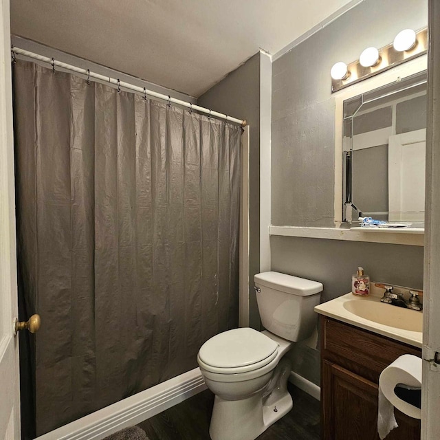 bathroom with vanity, wood-type flooring, and toilet