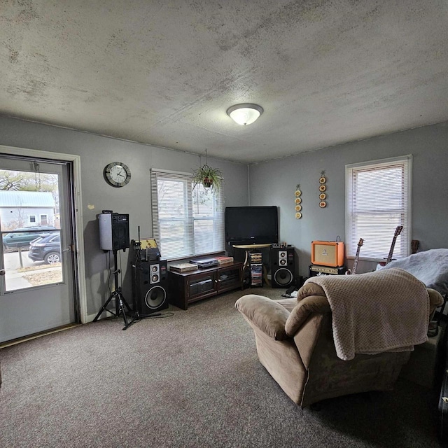 carpeted living room with a textured ceiling and a healthy amount of sunlight