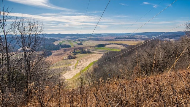 drone / aerial view featuring a mountain view and a rural view