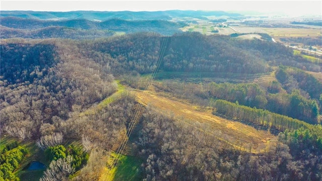 aerial view with a mountain view