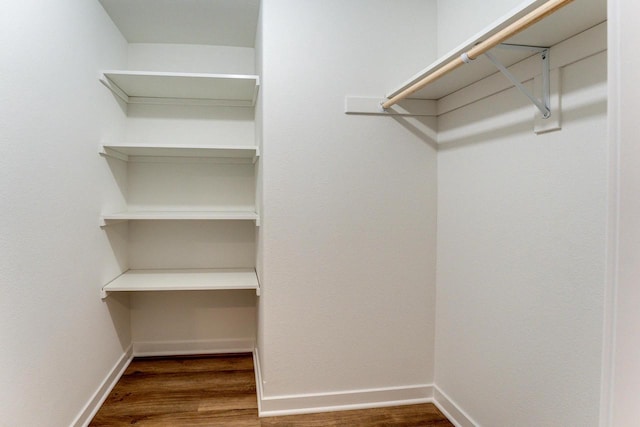 spacious closet featuring wood-type flooring