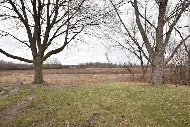 view of yard with a rural view