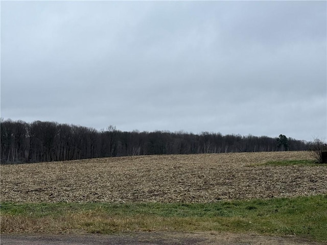 LOT1 County Highway D, Sarona WI, 54870 land for sale