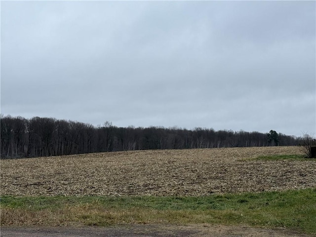LOT1 County Highway D, Sarona, WI 54870