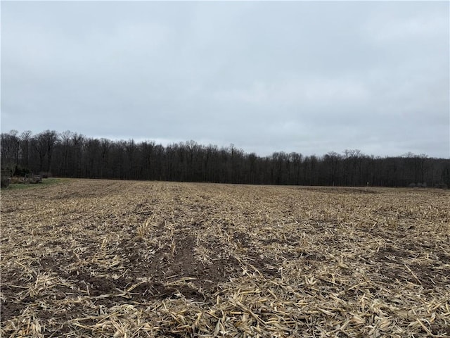 Listing photo 2 for LOT1 County Highway D, Sarona WI 54870