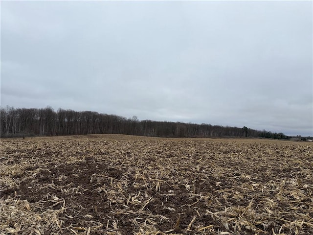 LOT1 County Highway D, Sarona, WI 54870