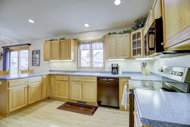 kitchen with dishwasher, light wood-type flooring, stainless steel electric range oven, and a healthy amount of sunlight