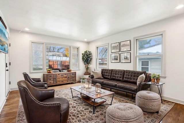 living room with hardwood / wood-style flooring and a wealth of natural light