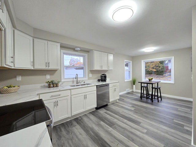 kitchen with white cabinetry, stainless steel dishwasher, and sink