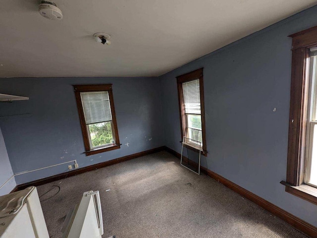 empty room featuring carpet and lofted ceiling