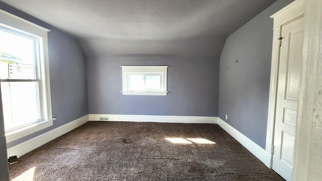 additional living space with carpet flooring, a wealth of natural light, and lofted ceiling