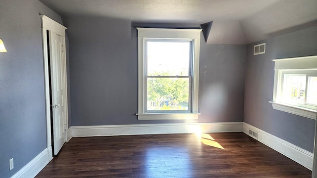 interior space with a wealth of natural light, dark hardwood / wood-style flooring, and vaulted ceiling