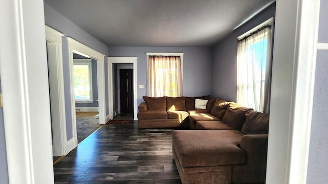 living room with a wealth of natural light and dark wood-type flooring