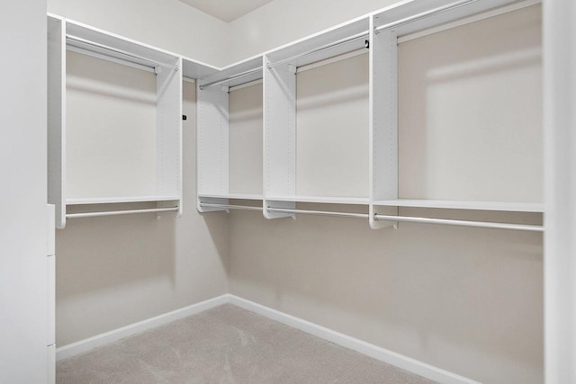 walk in closet featuring carpet