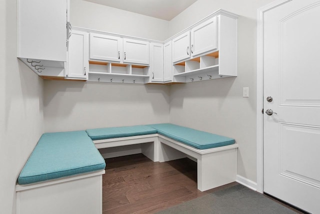 mudroom with dark hardwood / wood-style flooring