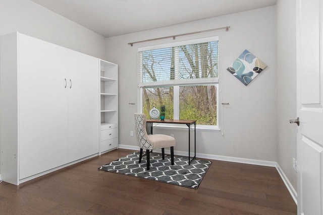 living area with dark hardwood / wood-style flooring and a healthy amount of sunlight