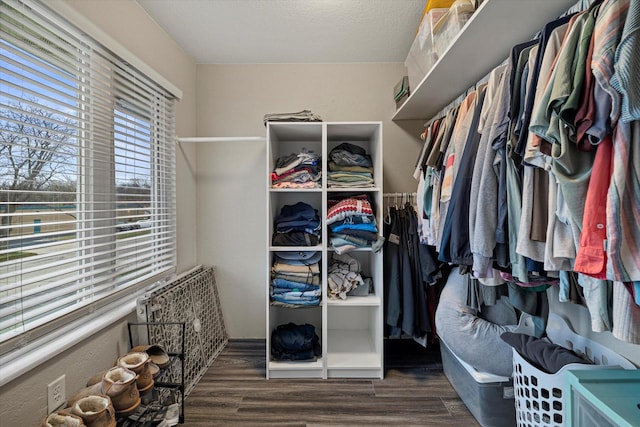 walk in closet featuring dark hardwood / wood-style floors