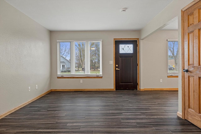 entrance foyer with dark wood-type flooring