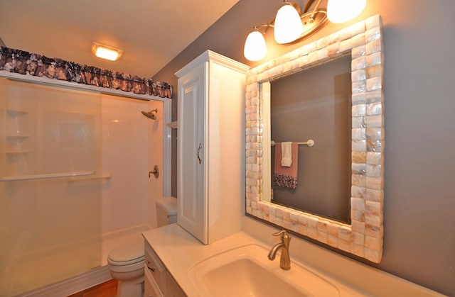 bathroom featuring toilet, vanity, wood-type flooring, and walk in shower