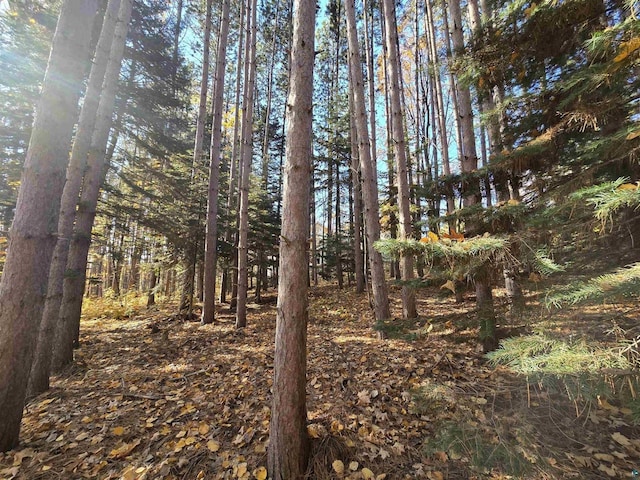 view of local wilderness