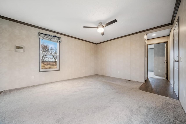 carpeted spare room featuring ceiling fan and ornamental molding